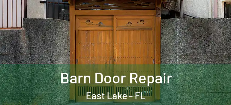 Barn Door Repair East Lake - FL