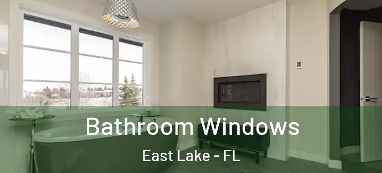 Bathroom Windows East Lake - FL