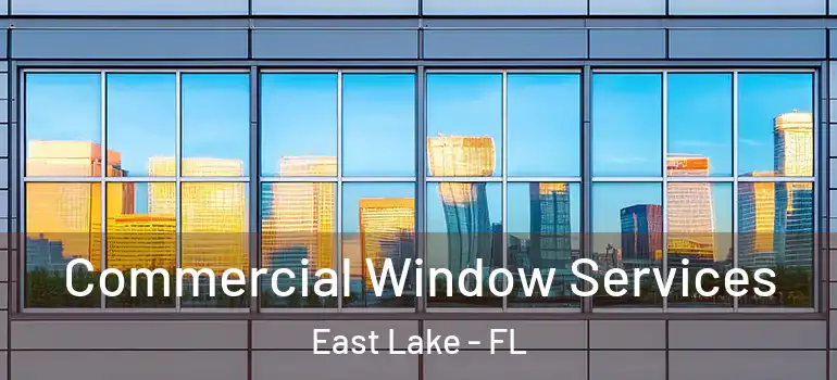 Commercial Window Services East Lake - FL