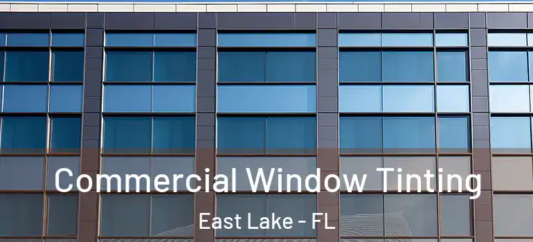 Commercial Window Tinting East Lake - FL