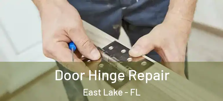 Door Hinge Repair East Lake - FL
