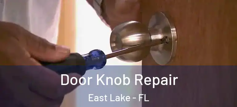 Door Knob Repair East Lake - FL