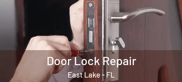Door Lock Repair East Lake - FL