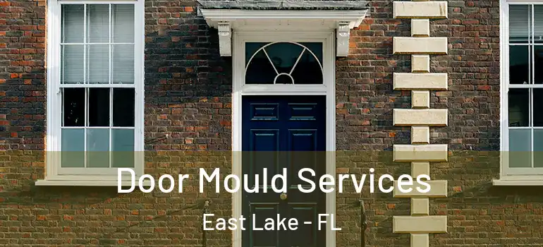 Door Mould Services East Lake - FL