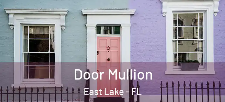 Door Mullion East Lake - FL