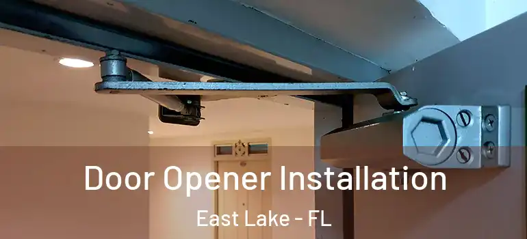 Door Opener Installation East Lake - FL