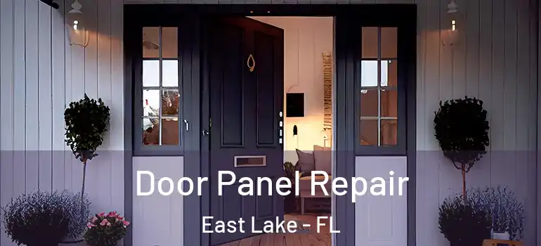 Door Panel Repair East Lake - FL