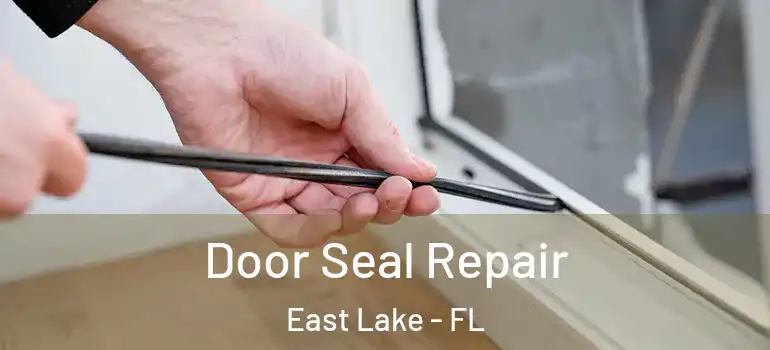 Door Seal Repair East Lake - FL