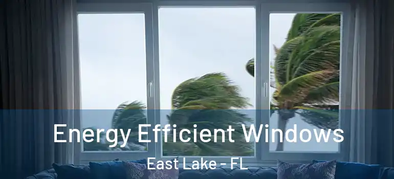 Energy Efficient Windows East Lake - FL