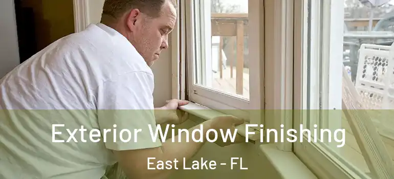 Exterior Window Finishing East Lake - FL