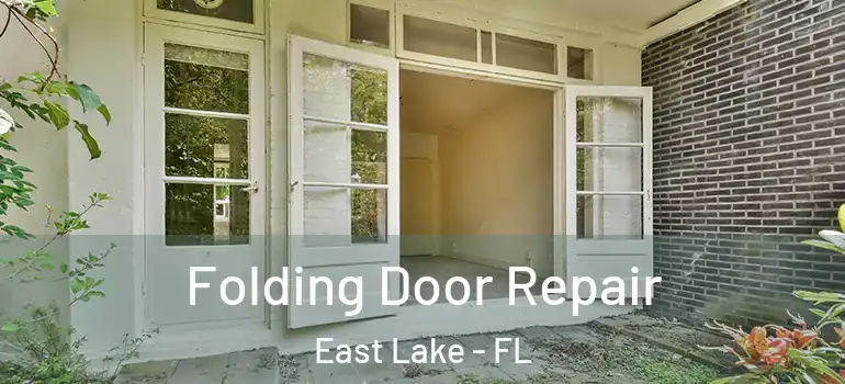 Folding Door Repair East Lake - FL