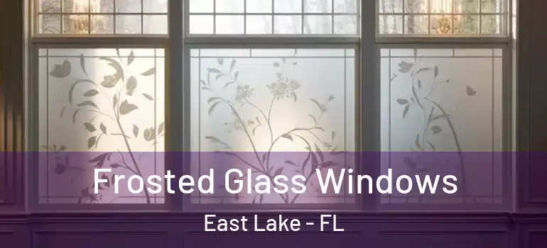 Frosted Glass Windows East Lake - FL