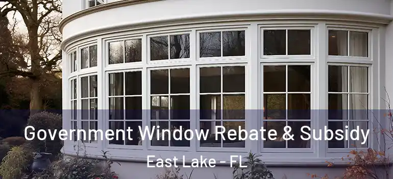 Government Window Rebate & Subsidy East Lake - FL