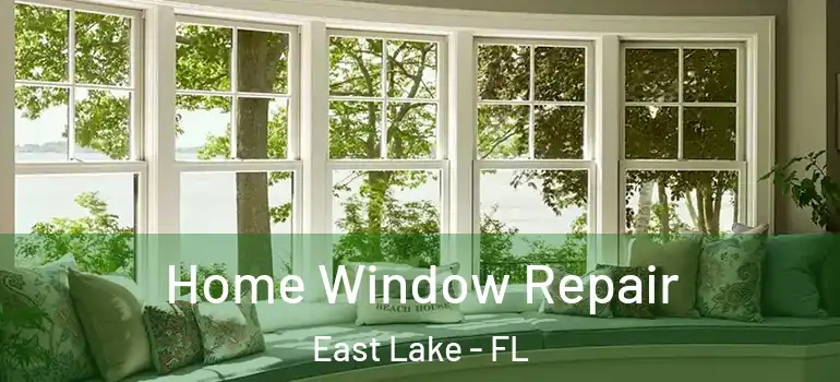 Home Window Repair East Lake - FL