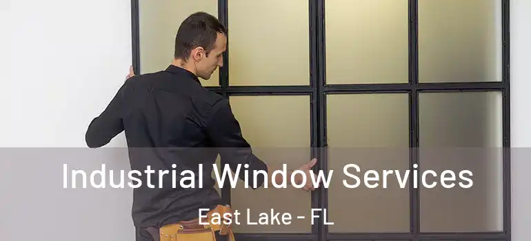 Industrial Window Services East Lake - FL