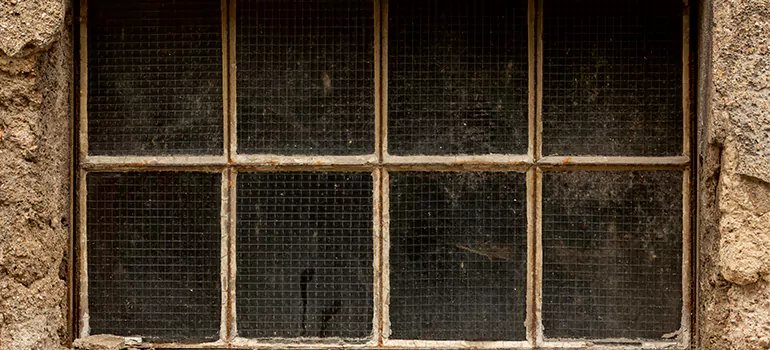 Traditional Double Front Doors in East Lake, FL