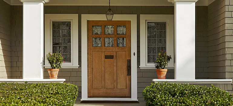 Craftsman Style Door in East Lake, FL