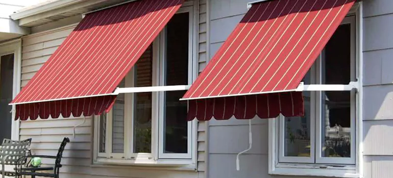 Government Rebate Window Replacement in East Lake, FL