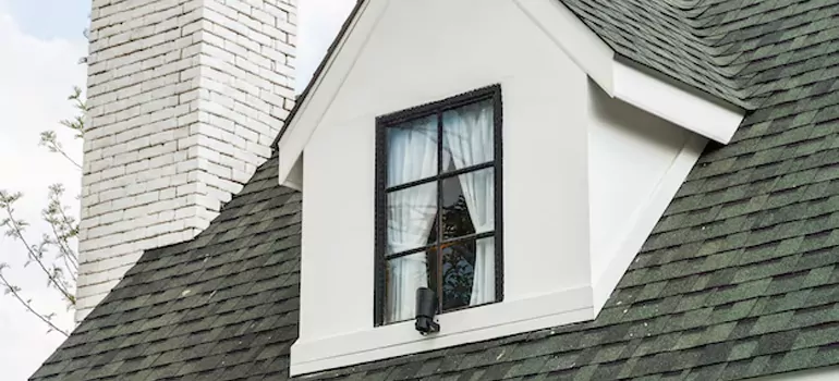 Roof Window Repair in East Lake, FL
