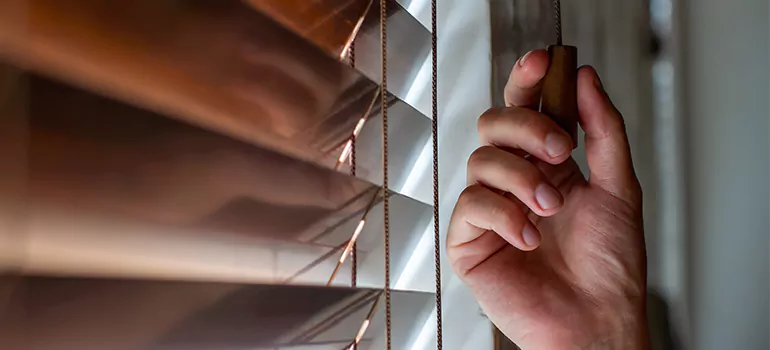 Double Roller Blinds in East Lake, FL