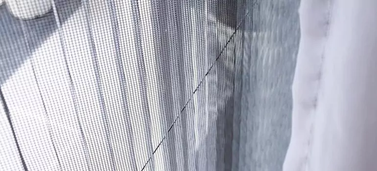 Fixing Screen Window Mesh in East Lake, FL