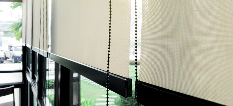 Blackout Window Shades in East Lake, FL