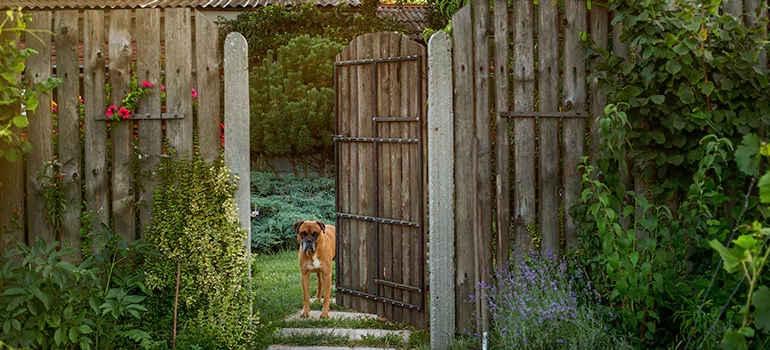 Winter Garden Garage Door Repair in East Lake,[location field=state]