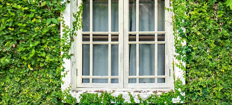 Garden Window Repair Near Me in East Lake, FL