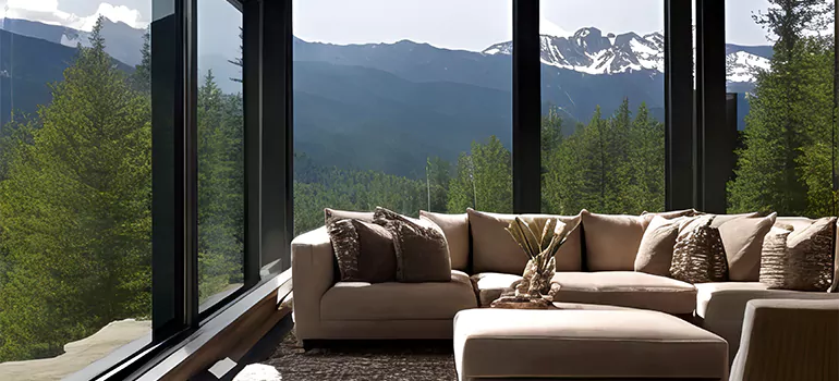 Picture Window Maintenance in East Lake, FL