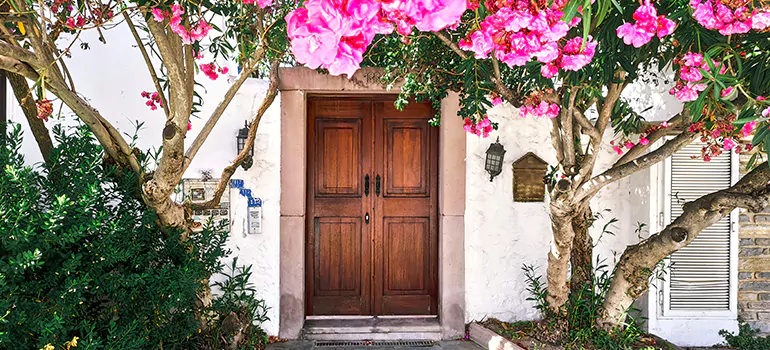 Traditional 4 Panel Internal Doors in East Lake, FL
