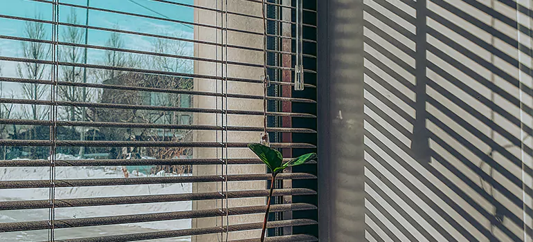 Commercial Window Blinds in East Lake, FL