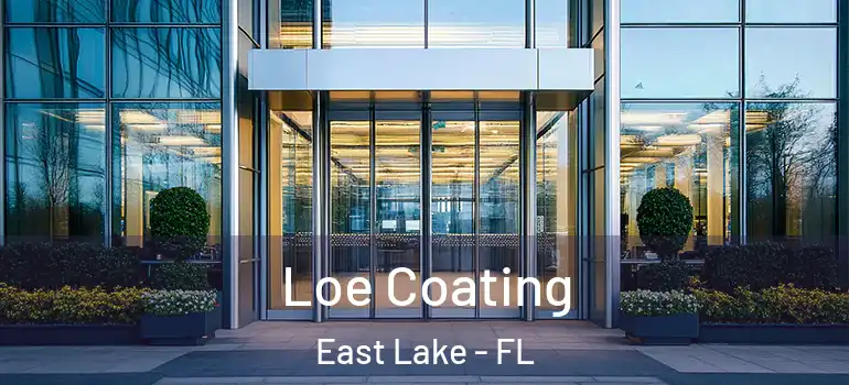 Loe Coating East Lake - FL