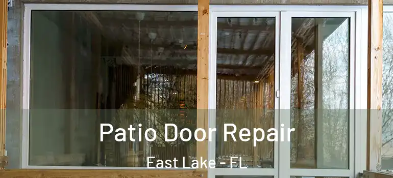 Patio Door Repair East Lake - FL