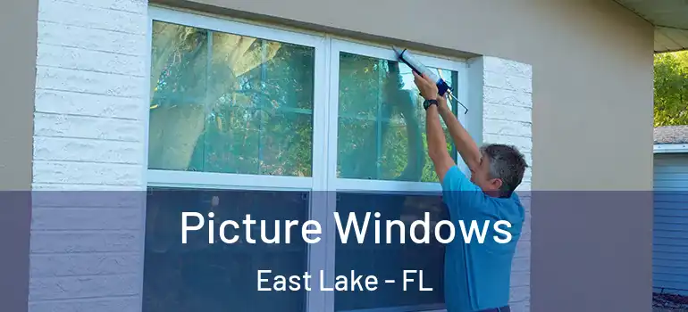 Picture Windows East Lake - FL