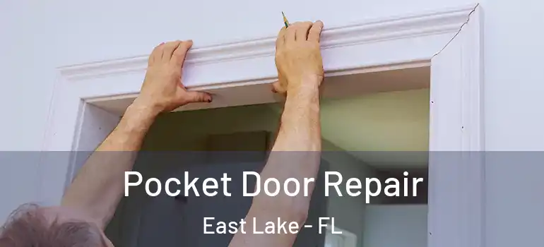 Pocket Door Repair East Lake - FL