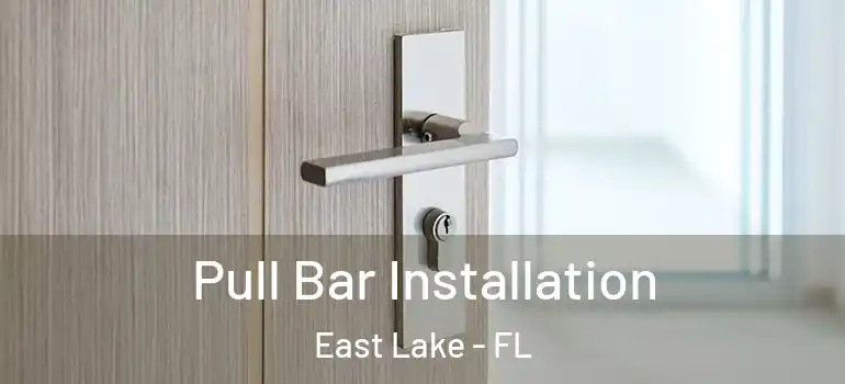 Pull Bar Installation East Lake - FL