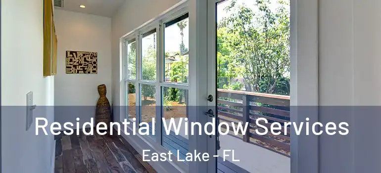 Residential Window Services East Lake - FL