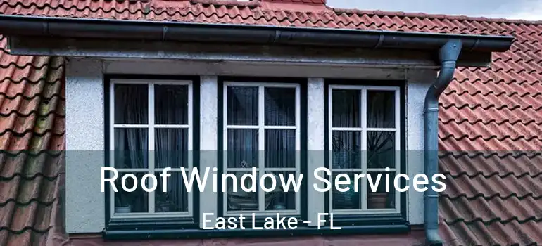 Roof Window Services East Lake - FL