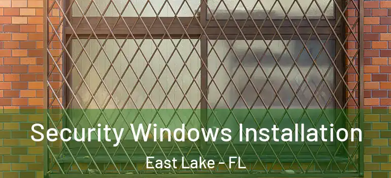 Security Windows Installation East Lake - FL