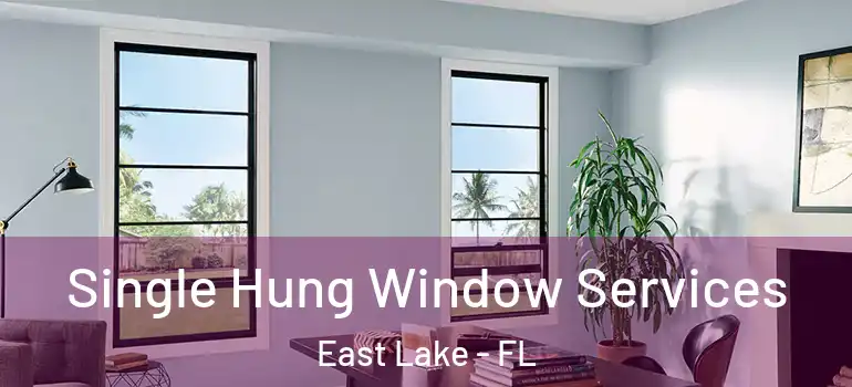 Single Hung Window Services East Lake - FL