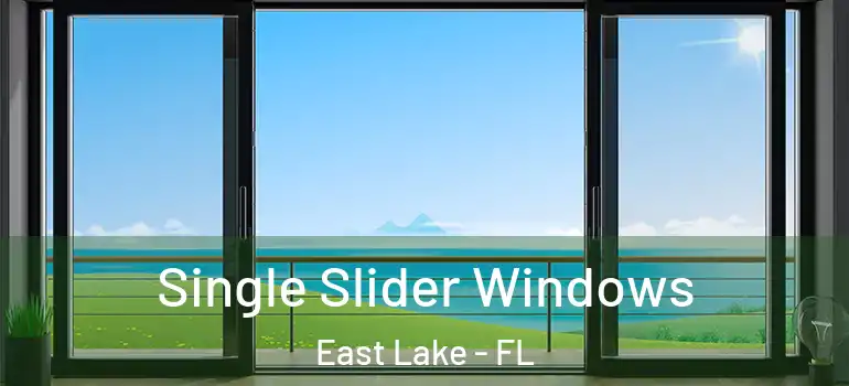 Single Slider Windows East Lake - FL