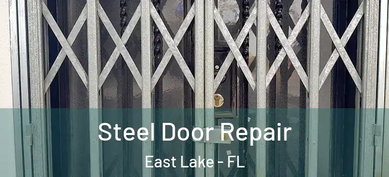 Steel Door Repair East Lake - FL