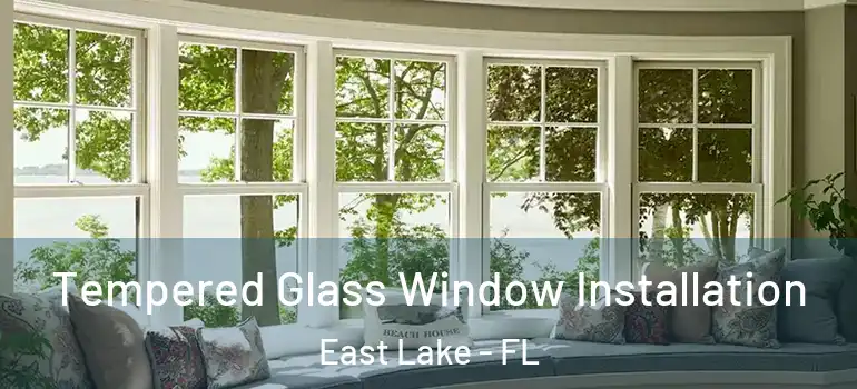 Tempered Glass Window Installation East Lake - FL