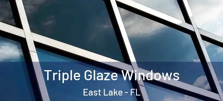 Triple Glaze Windows East Lake - FL