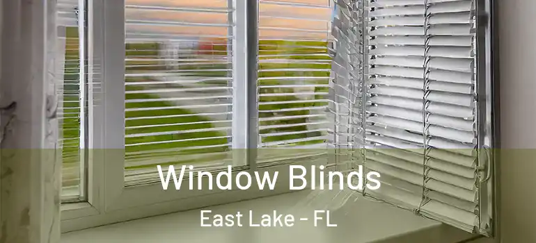 Window Blinds East Lake - FL