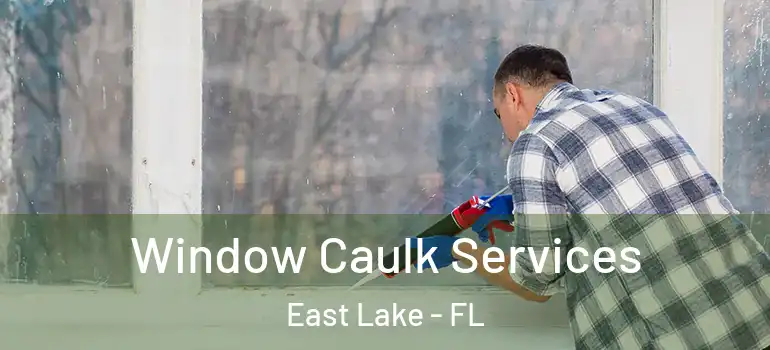 Window Caulk Services East Lake - FL