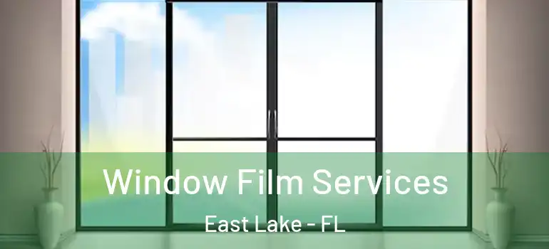 Window Film Services East Lake - FL