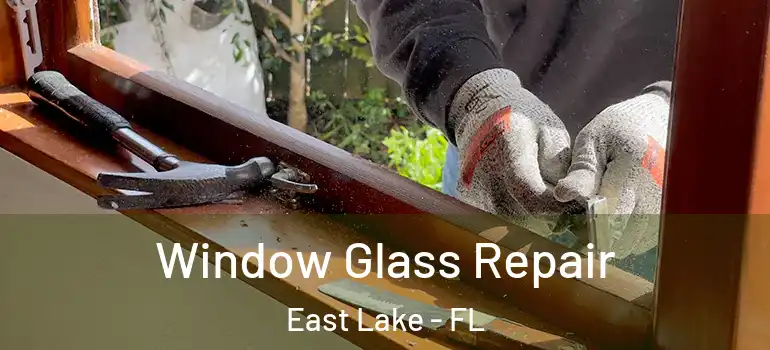 Window Glass Repair East Lake - FL
