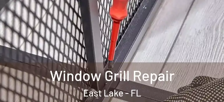 Window Grill Repair East Lake - FL