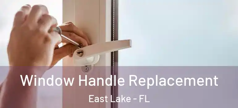 Window Handle Replacement East Lake - FL